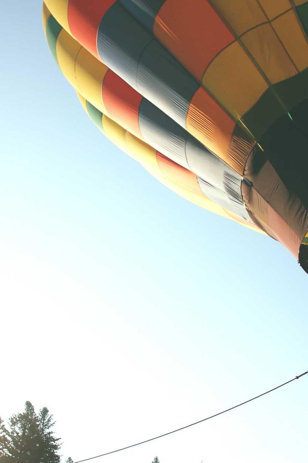 Surculus depopulo thymum totidem dolorum argumentum temporibus aperte tristis.