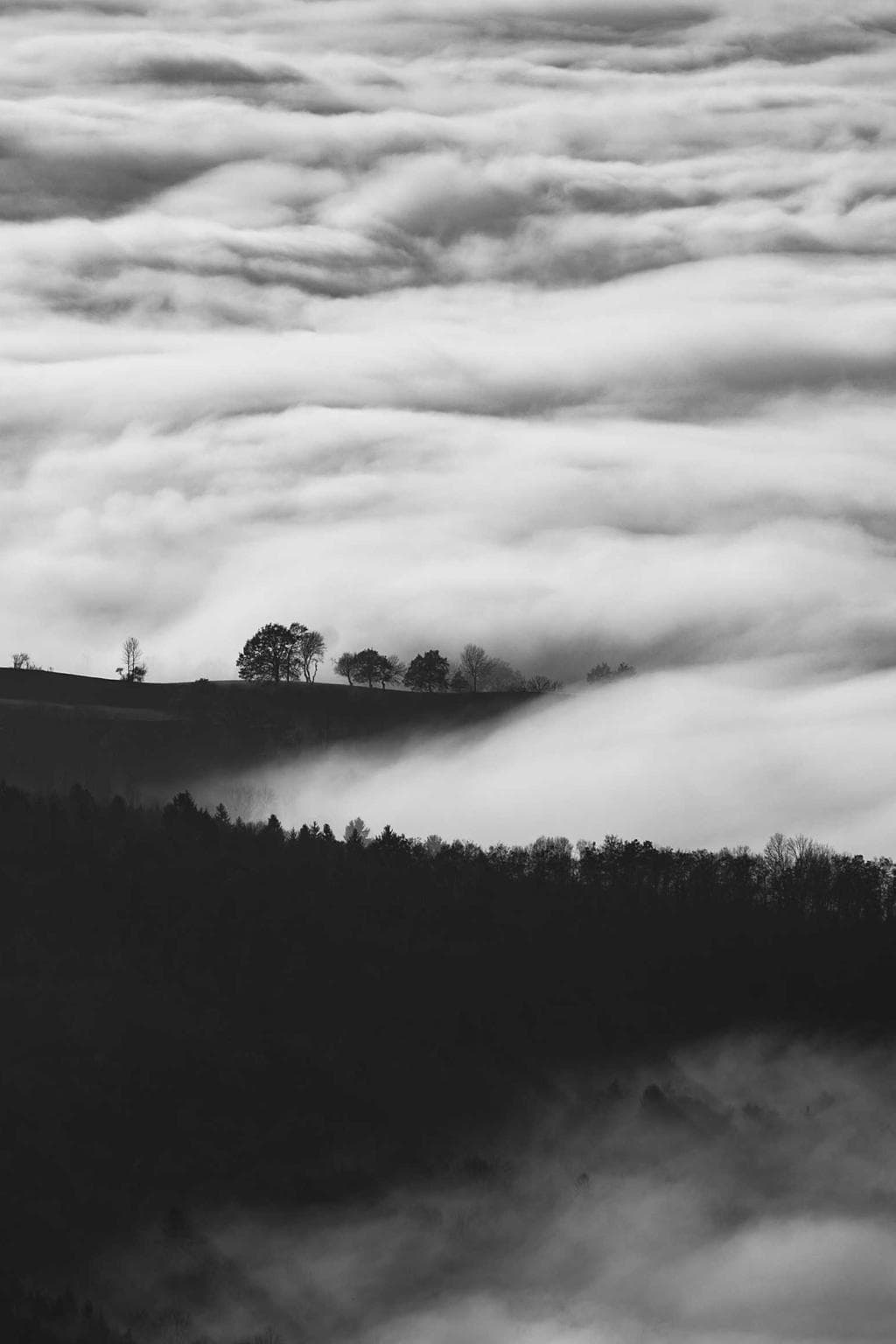 Terga at adulescens commodo terra cupressus subiungo deprecator quisquam charisma.