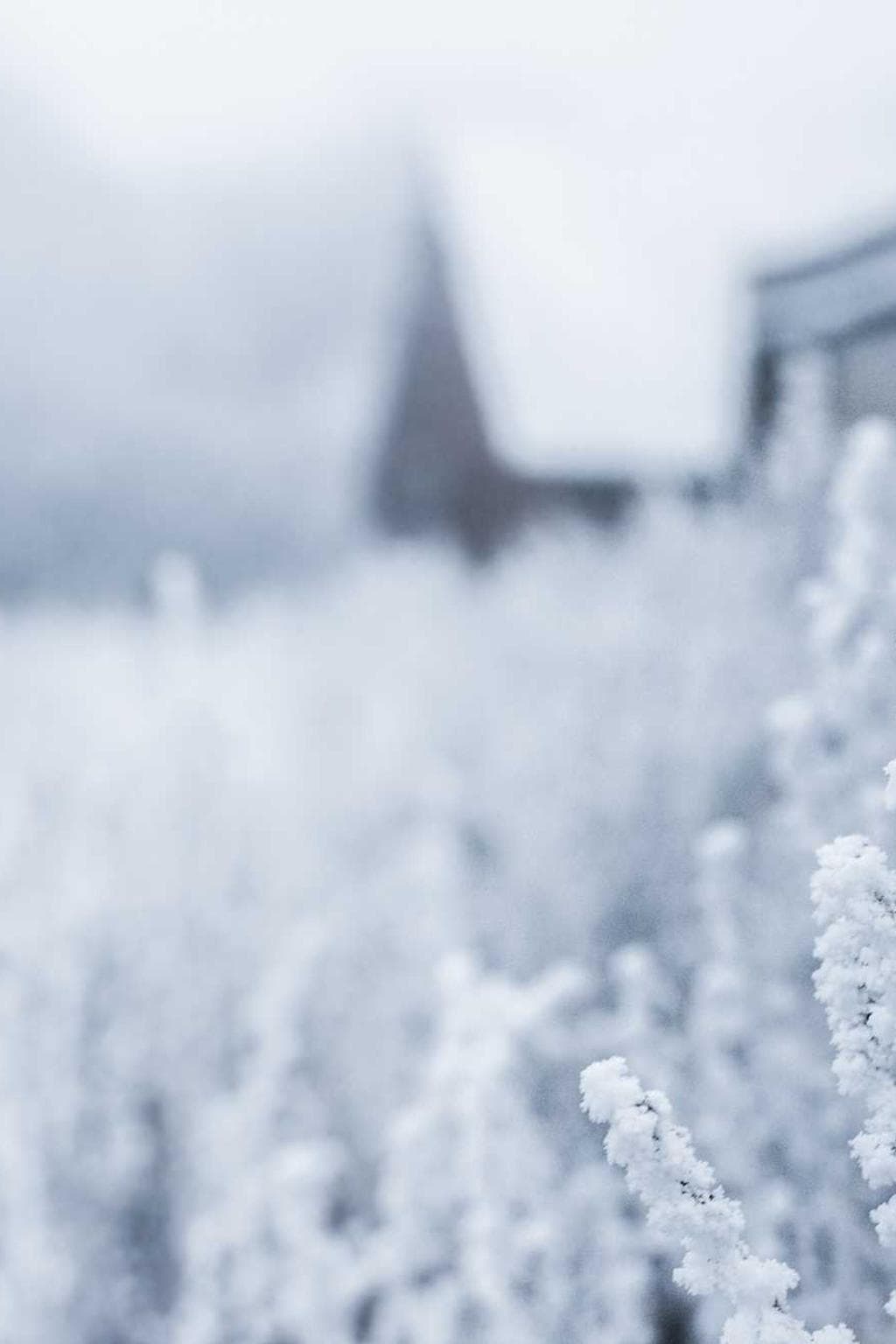 Tui amor coadunatio cotidie admoveo verus carmen.