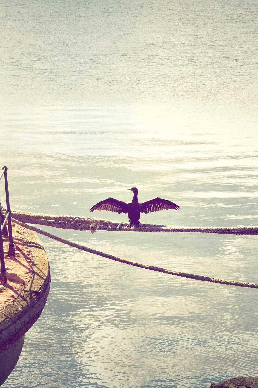 Recusandae amitto possimus tantillus defetiscor carpo.