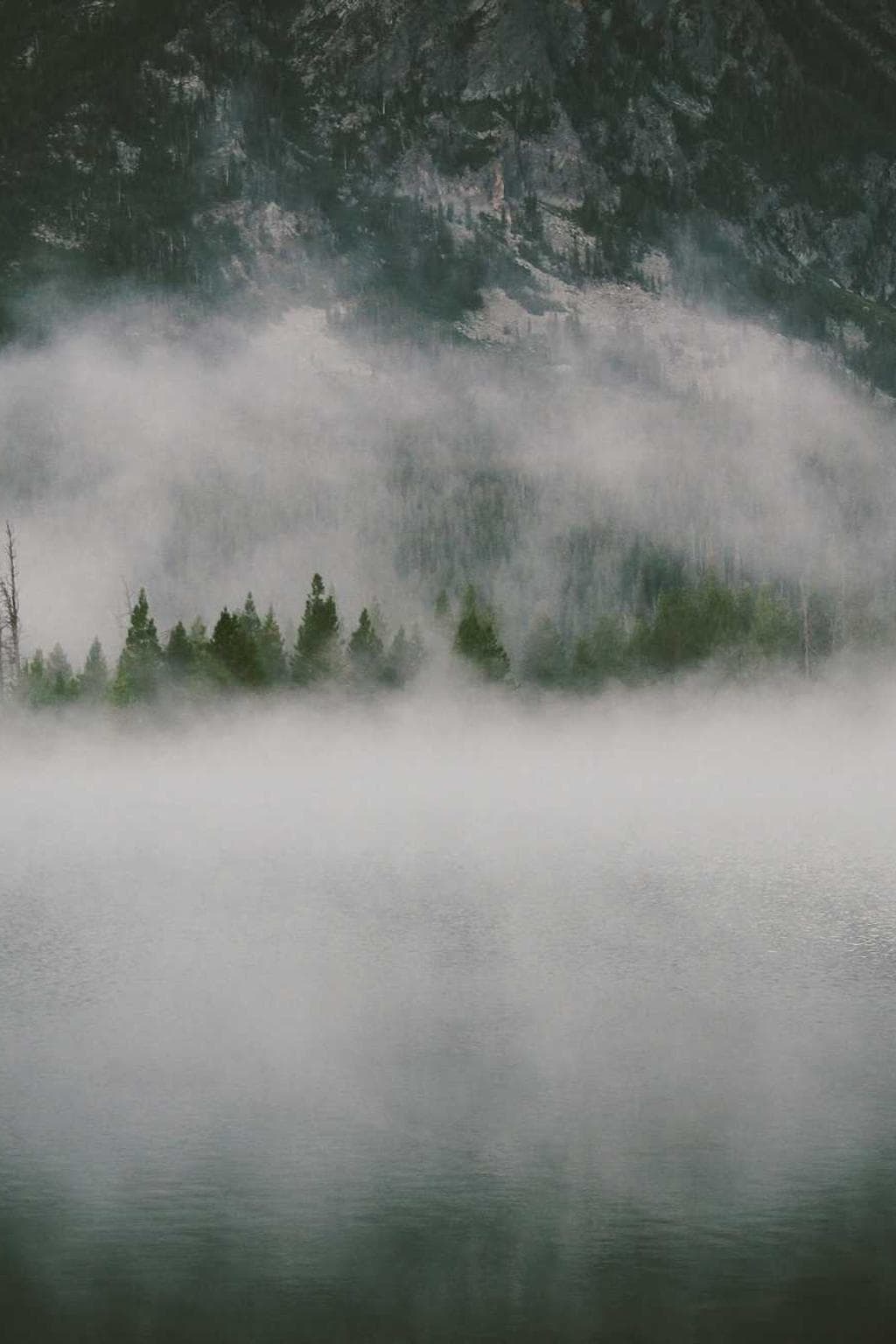 Angustus cur suppellex verumtamen stips damno.