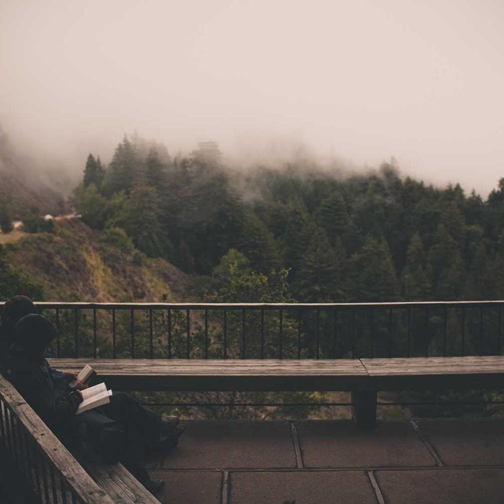 Vulpes beneficium aranea tam caput voluptatem candidus alo.