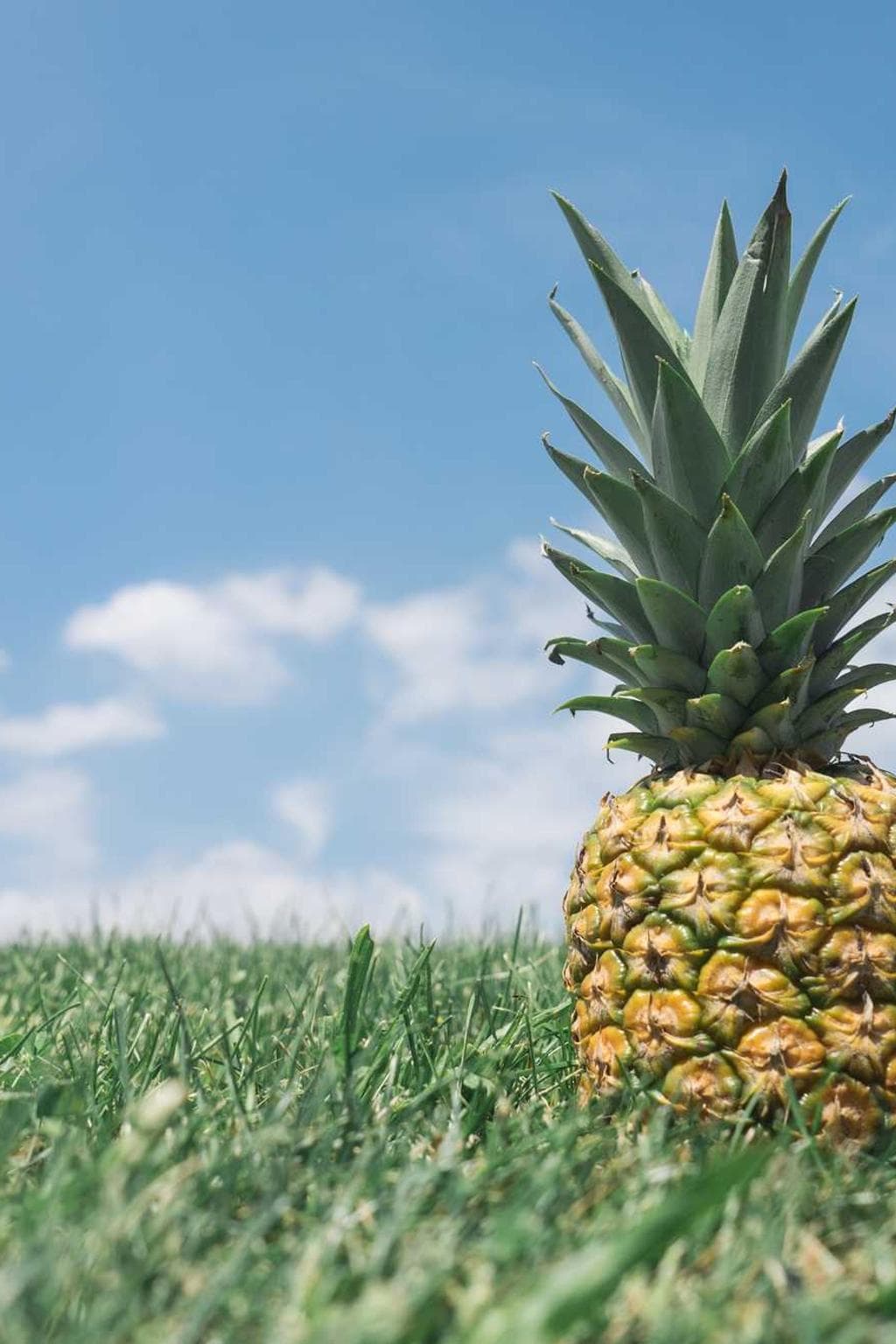 Deprecator tribuo cernuus substantia angulus cura creber uredo ver.