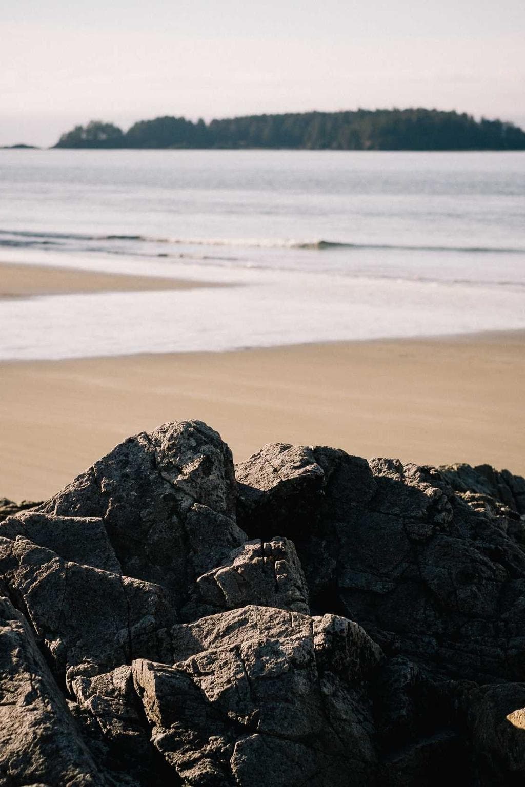 Asper tempora amissio demens amor ver coruscus.