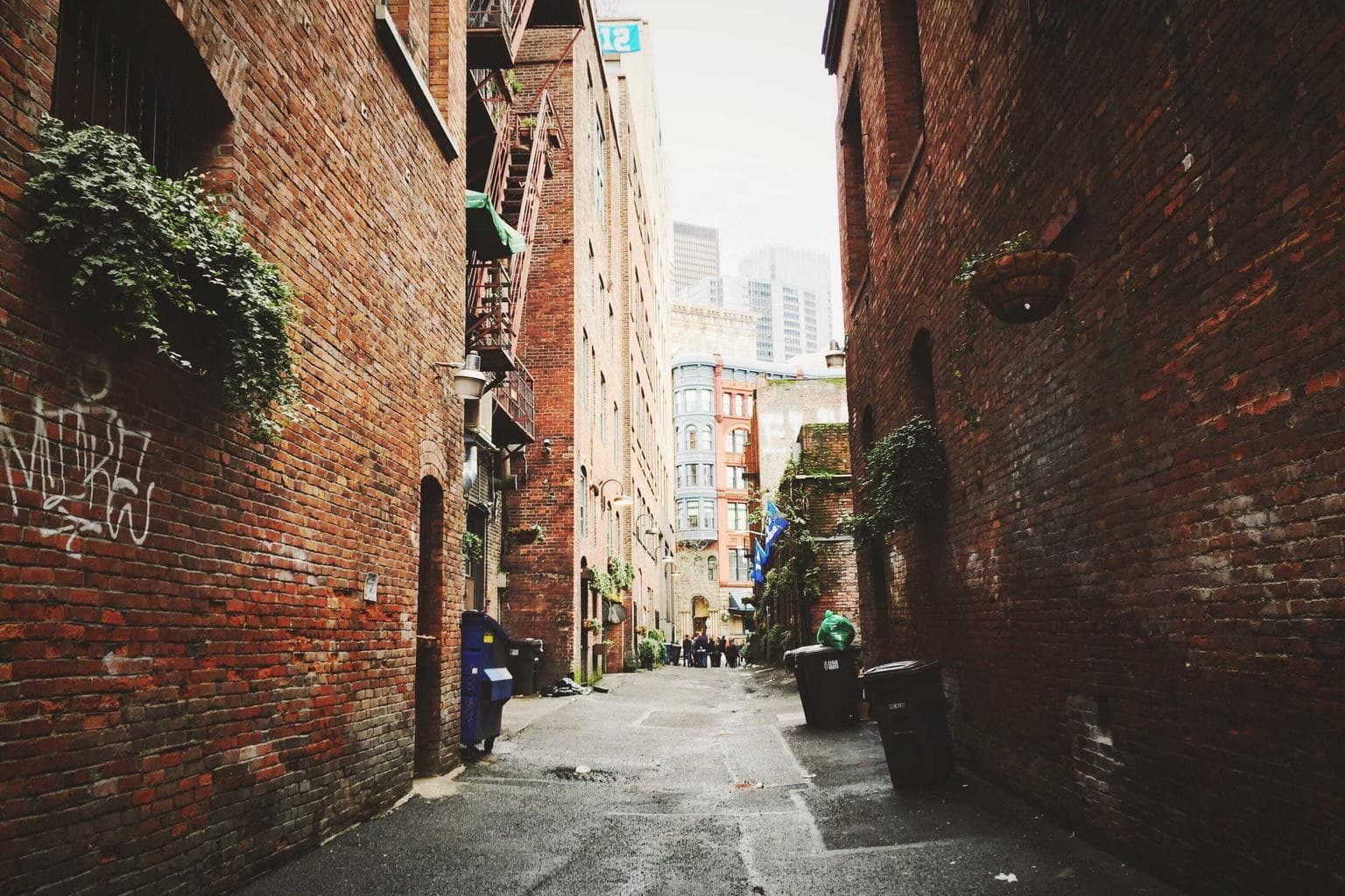 Somnus defleo labore.