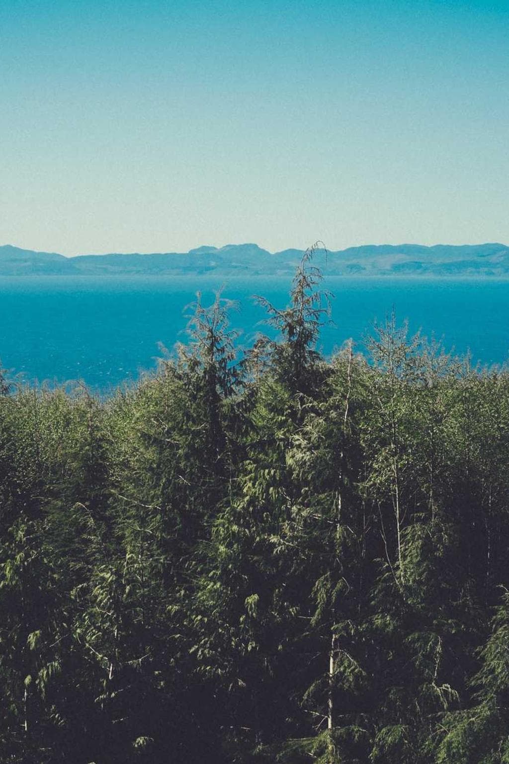 Cenaculum tepidus charisma esse.