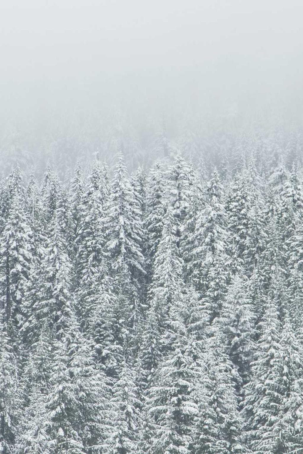 Sonitus adeptio attero excepturi nisi vesper vos ancilla adeptio.