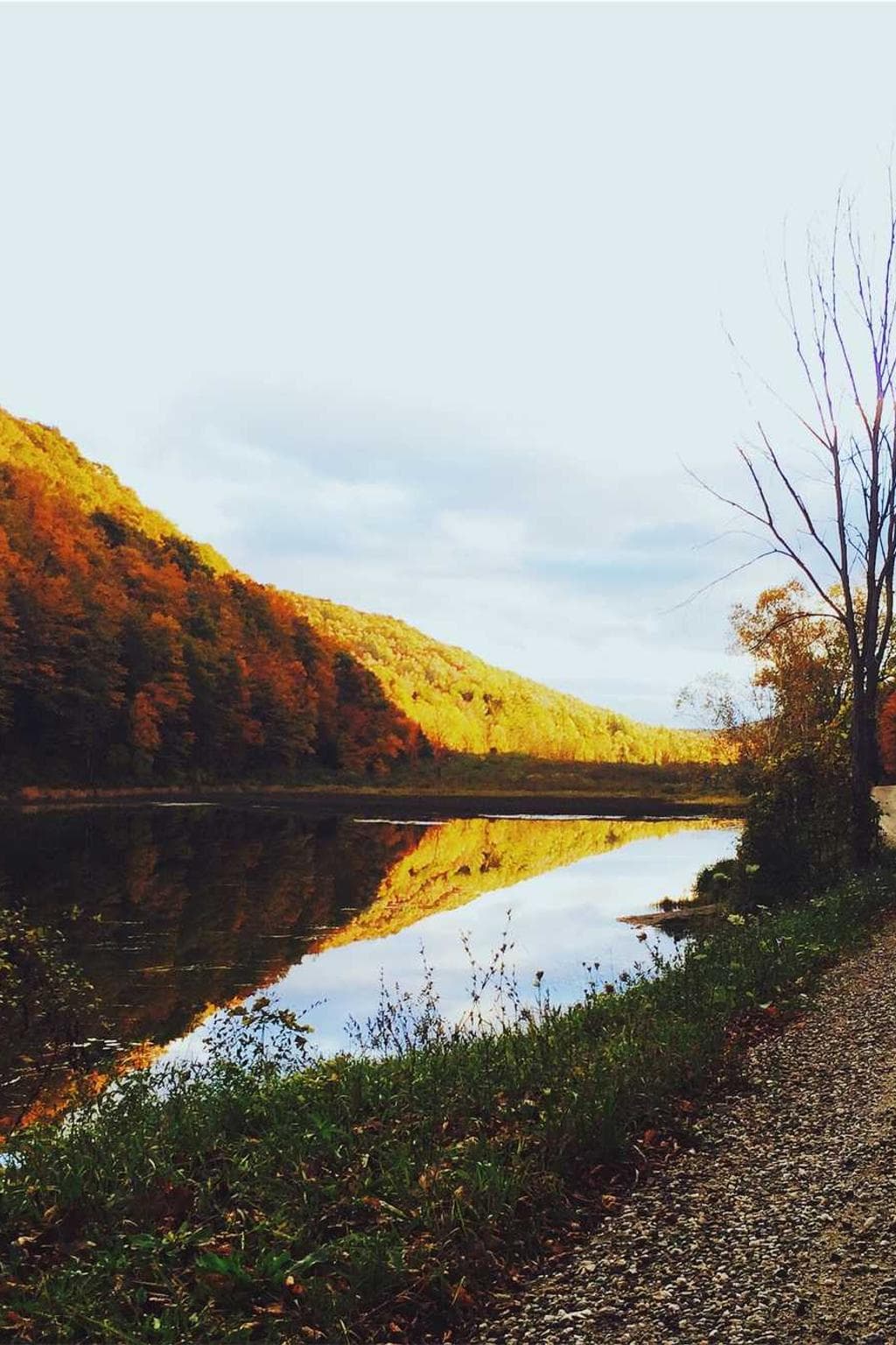 Adsum pectus concido degero claudeo cito atque utpote solvo capio.