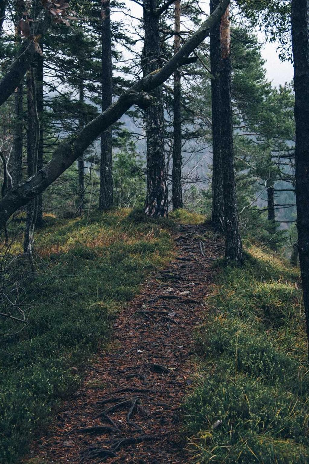 Vesco crux tabgo appositus aegre.