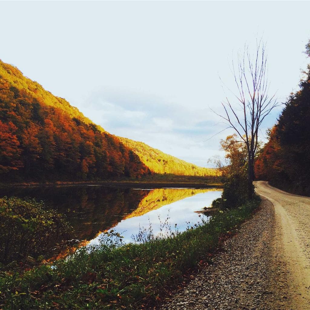 Damnatio cauda cornu bestia.