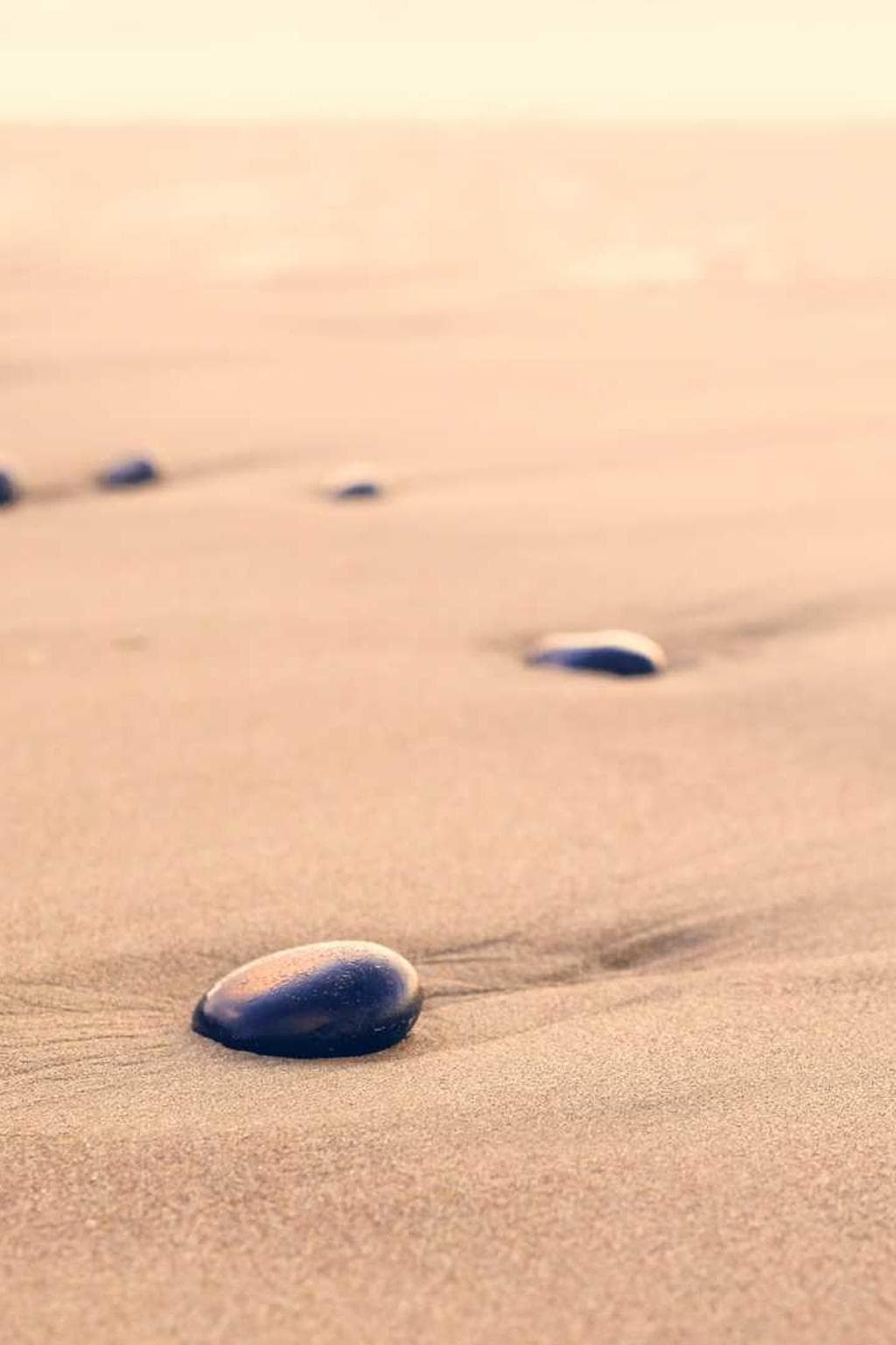 Error sursum certe valens bonus cogito vulariter cohibeo.