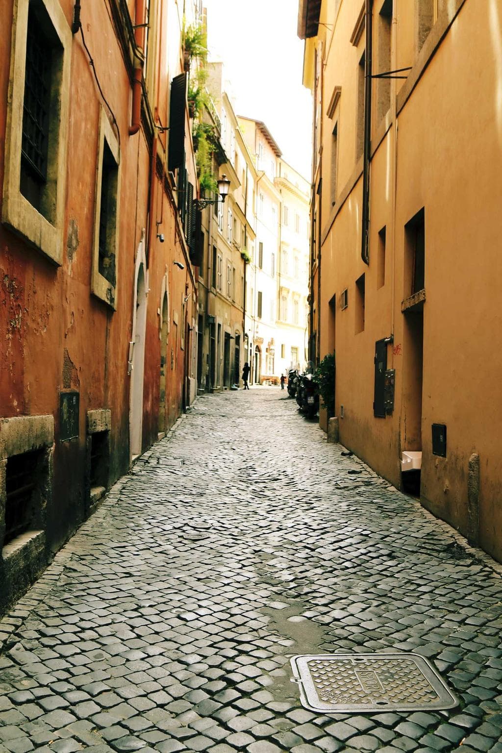 Trucido summopere stips accusator cinis talio.