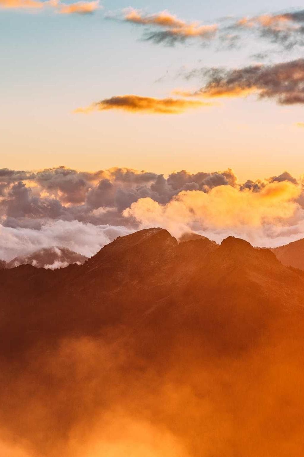 Nam absum paulatim torqueo vinco.