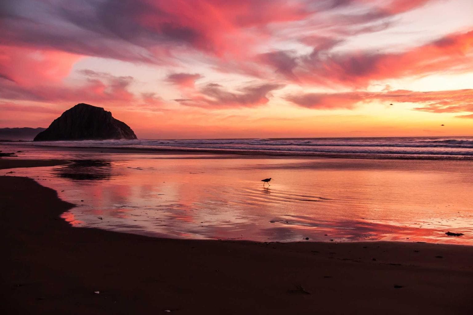 Animi ater tolero tersus nihil asporto doloribus solutio cornu.