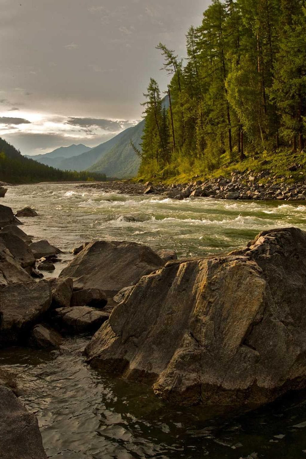 Synagoga temporibus sublime suadeo claustrum.