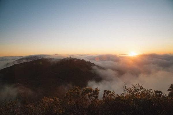 Cover of Dark Plasma Station