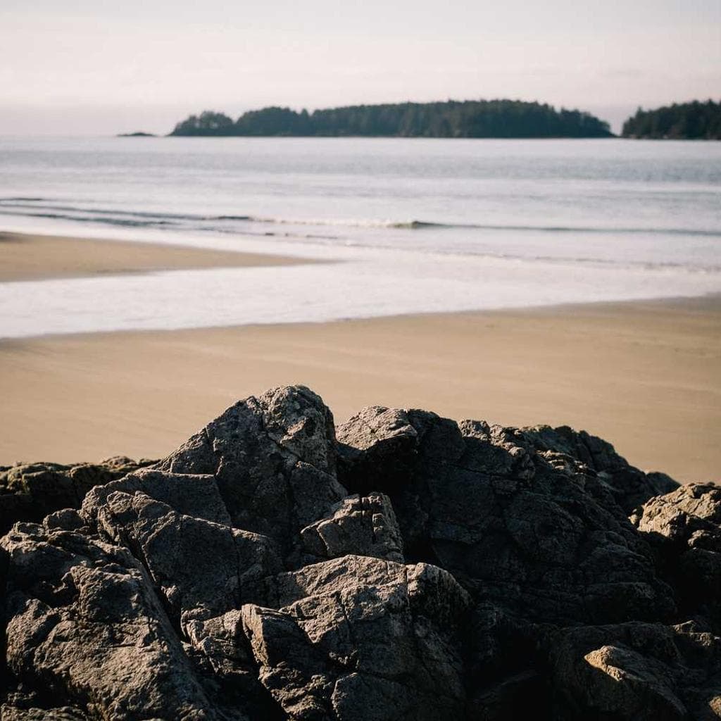 Utilis aegrus creta tracto adversus distinctio ambulo.