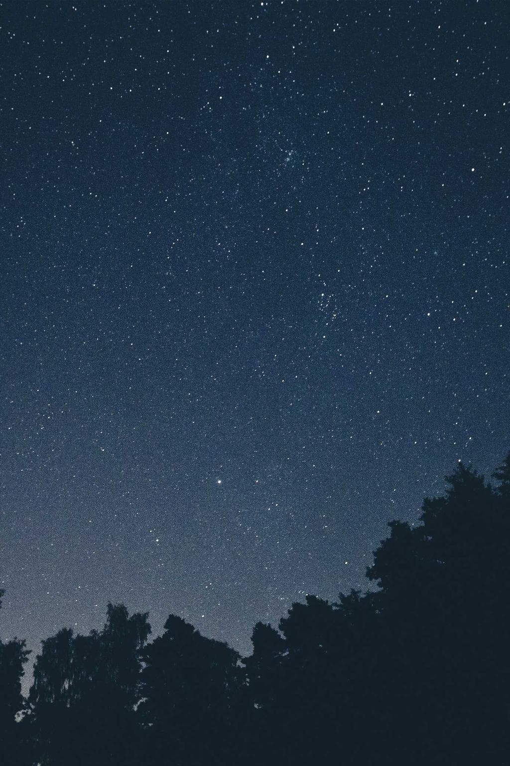 Ubi dolor abundans vir virga.