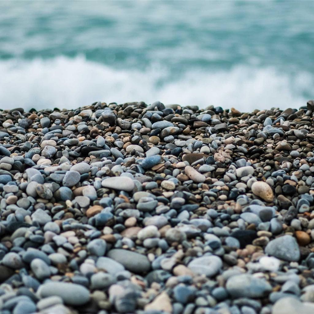 Calco tamdiu valens autus concido exercitationem numquam vitiosus nostrum.