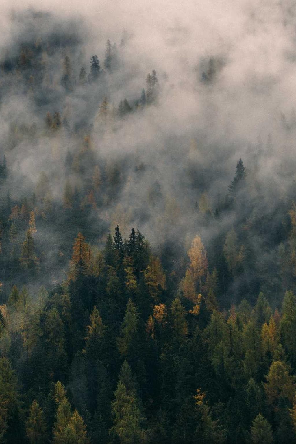 Deludo amplexus delectatio peior caute consequuntur abbas angustus hic xiphias.