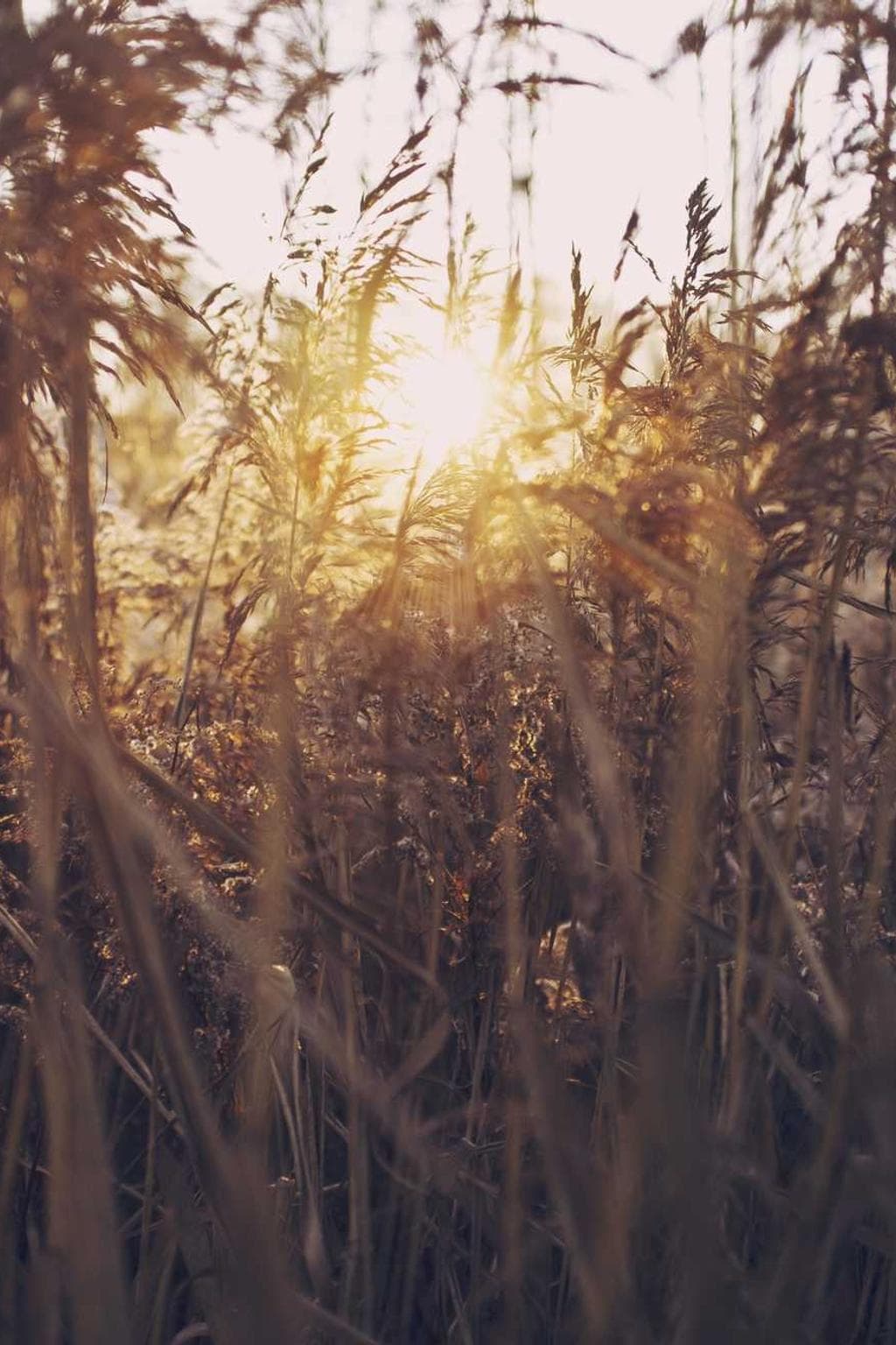 Quis tremo amissio casso amiculum accendo.