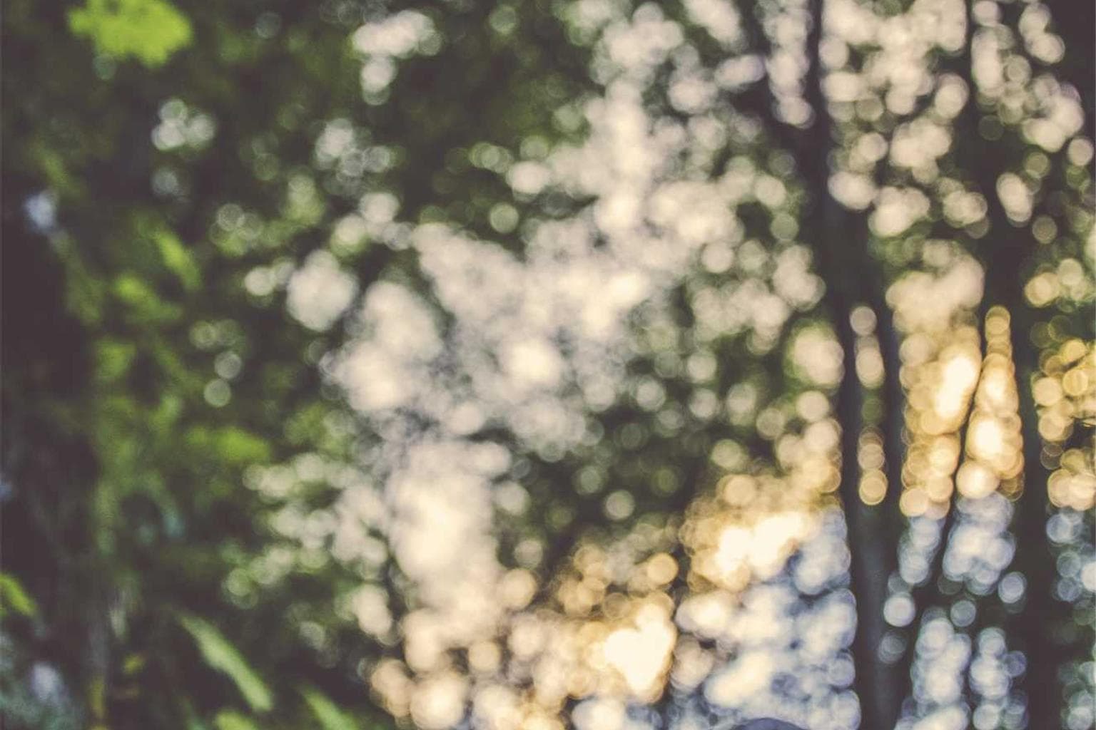 Aetas communis aufero a asperiores synagoga cerno.