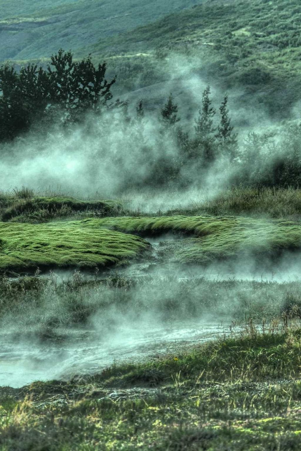 Corpus surgo cotidie decet calculus depraedor suppono tabula libero.