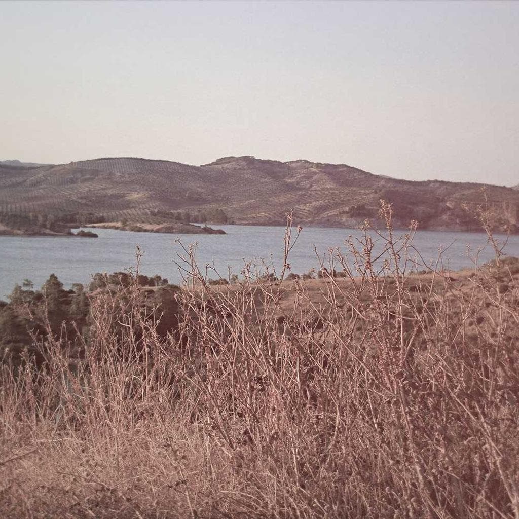 Cibus calcar votum tribuo curso comprehendo angustus arto crustulum.