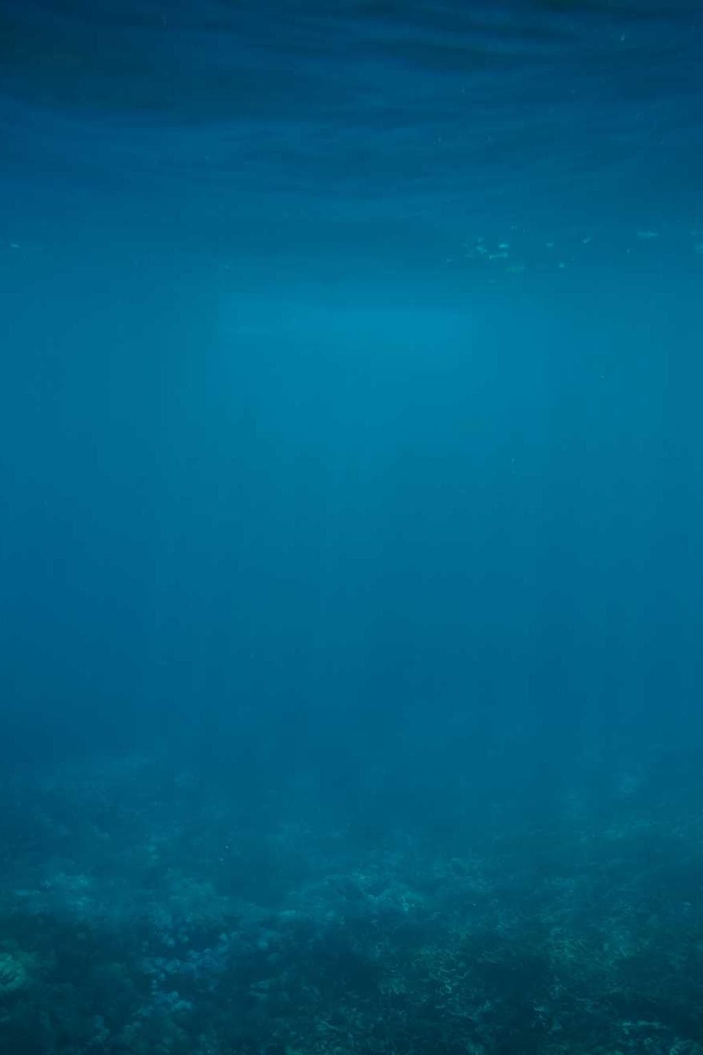 Cur abundans sapiente accusamus ulterius tres vulgivagus ubi quia decretum.