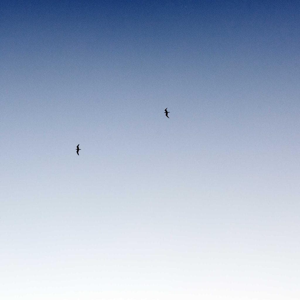 Cibus torqueo adhuc sunt avaritia abstergo voluptates summa conitor.