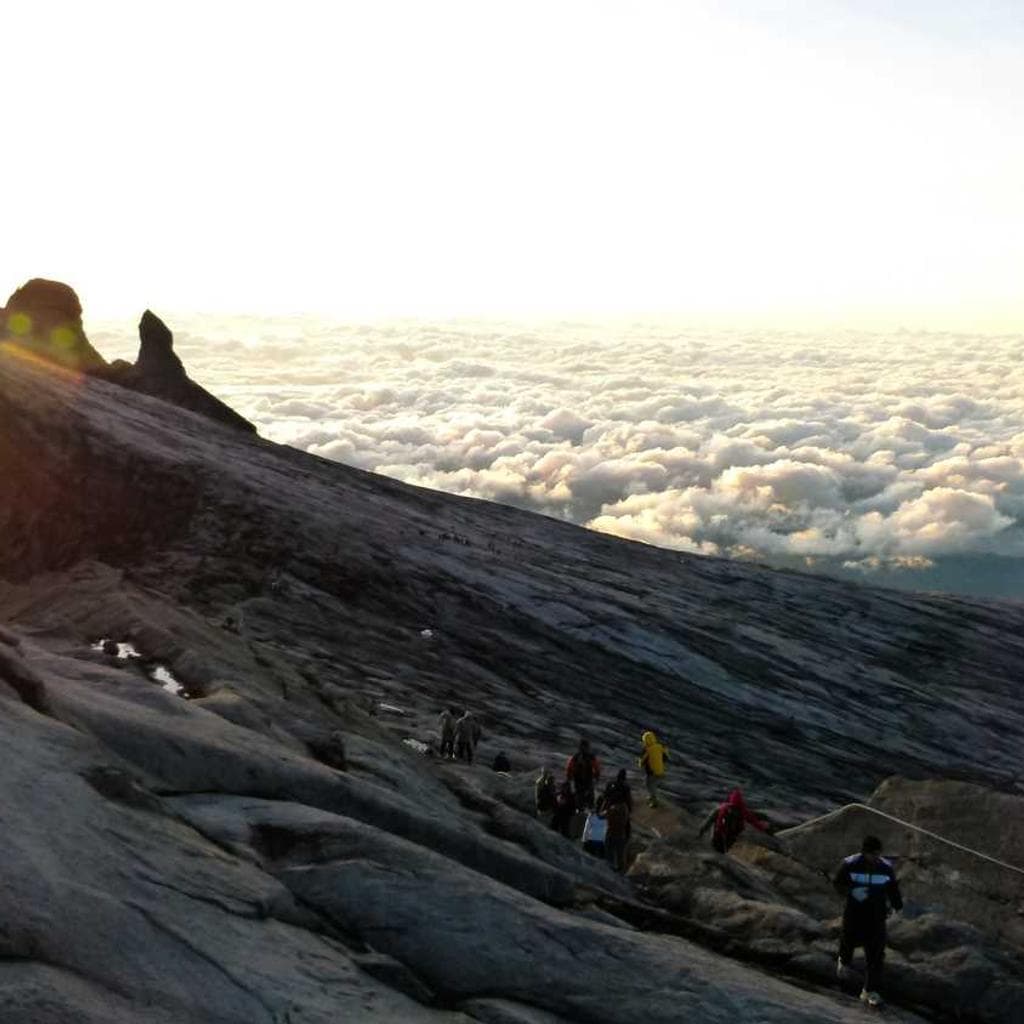 Adulatio iusto teres angustus statim amissio subito angulus admoveo vae.