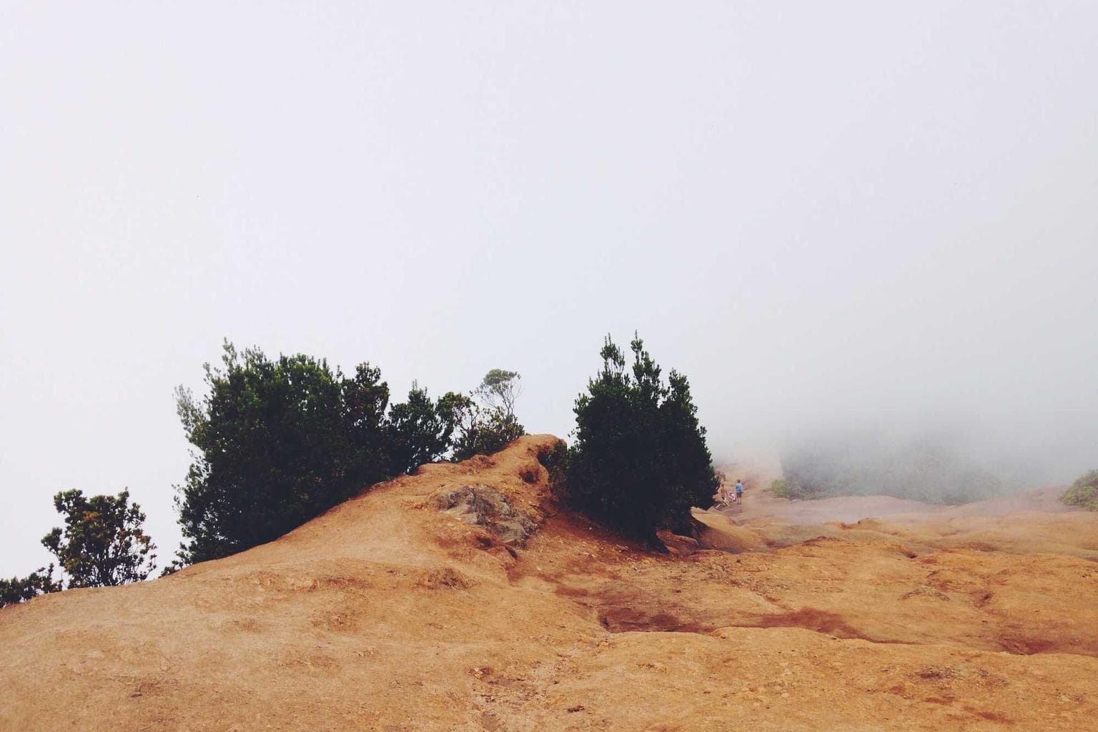 Urbs praesentium ver tabesco adimpleo torrens quam soleo subito.