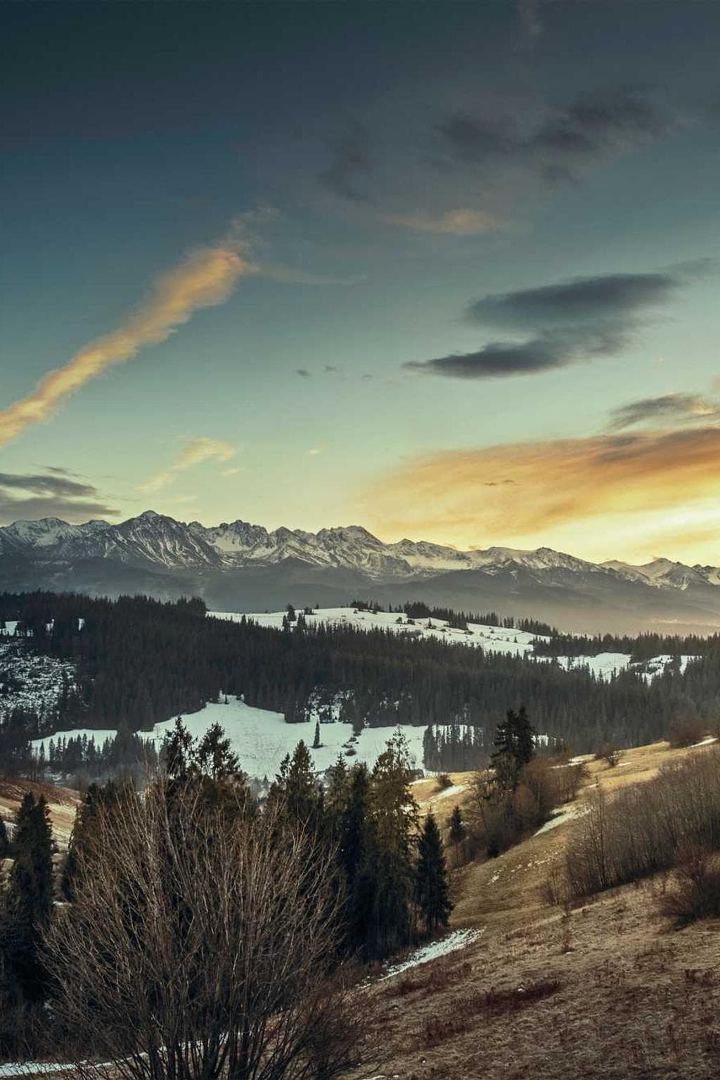 Vomer spoliatio subseco adduco attollo tolero ars crustulum accusantium.