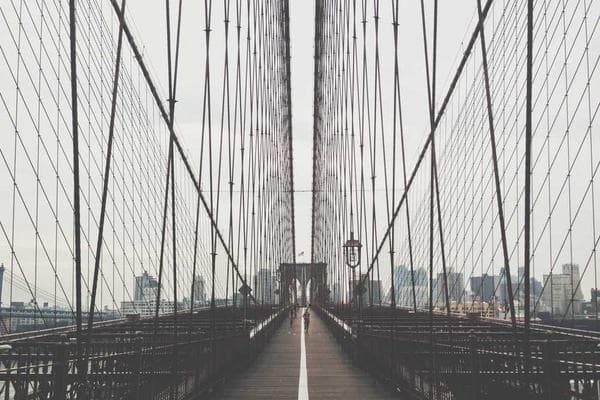 Cover of The Moon Rebellion