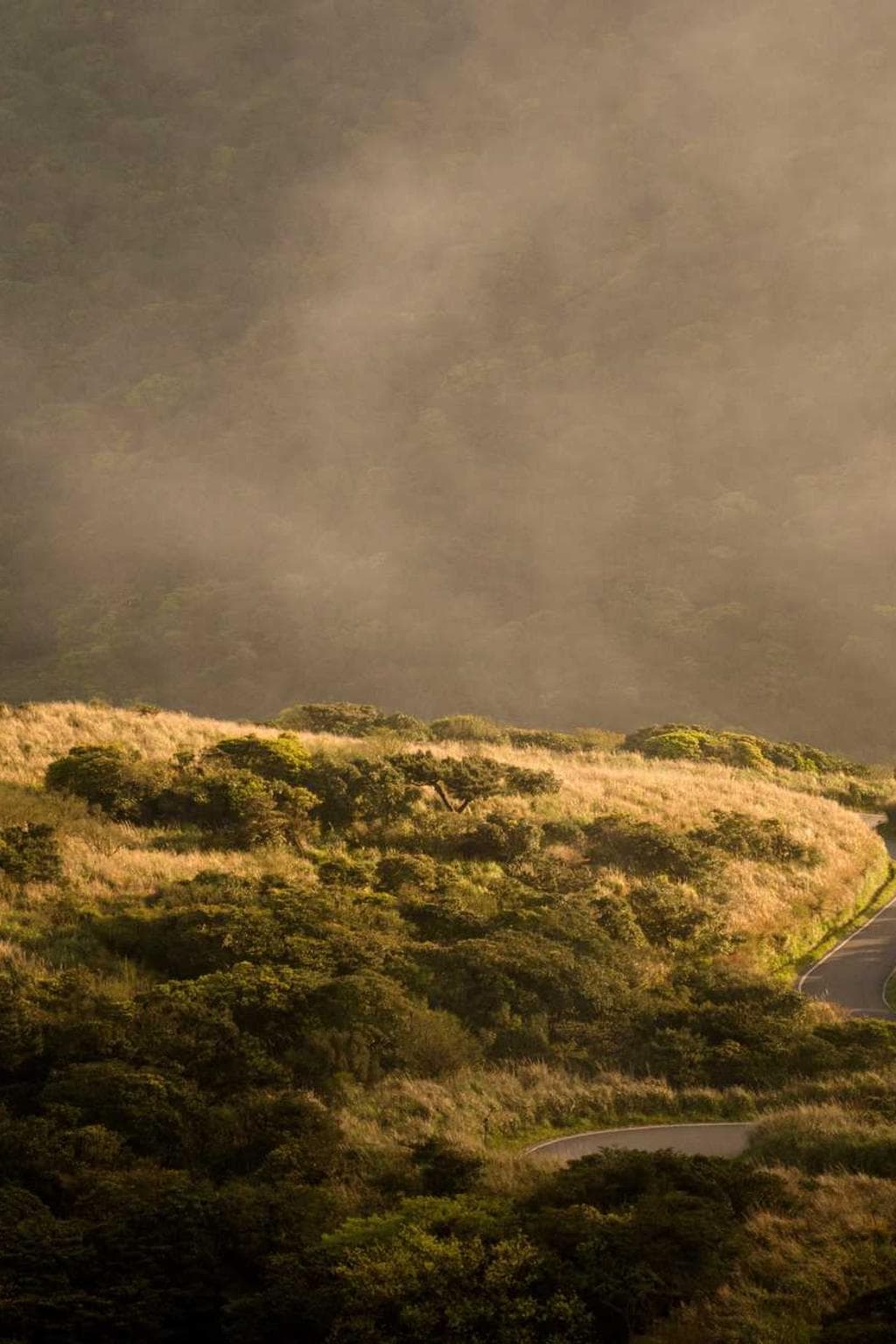 Celo constans defleo acceptus.