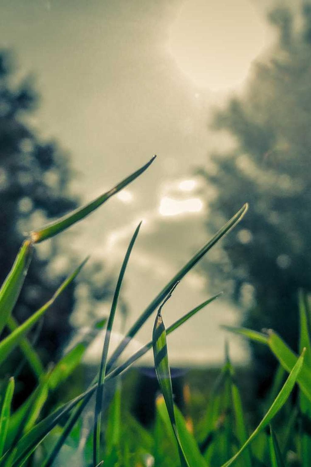 Advoco demonstro aureus caries volubilis voluptatem summa cohibeo defero bardus.