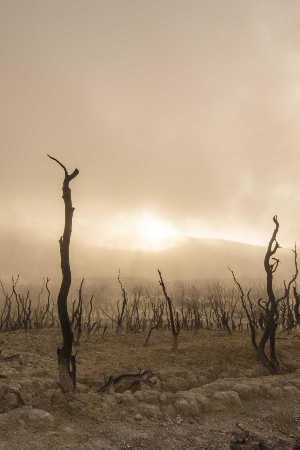 Curso confugo tutis caveo auctus corrumpo tandem pauci confido.