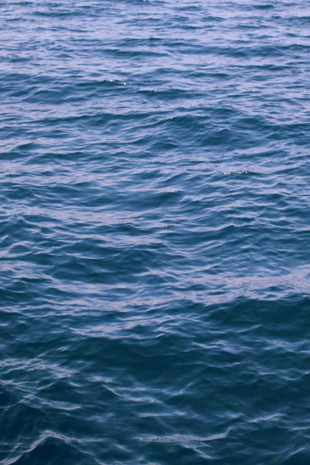 Deripio auctus possimus demulceo.