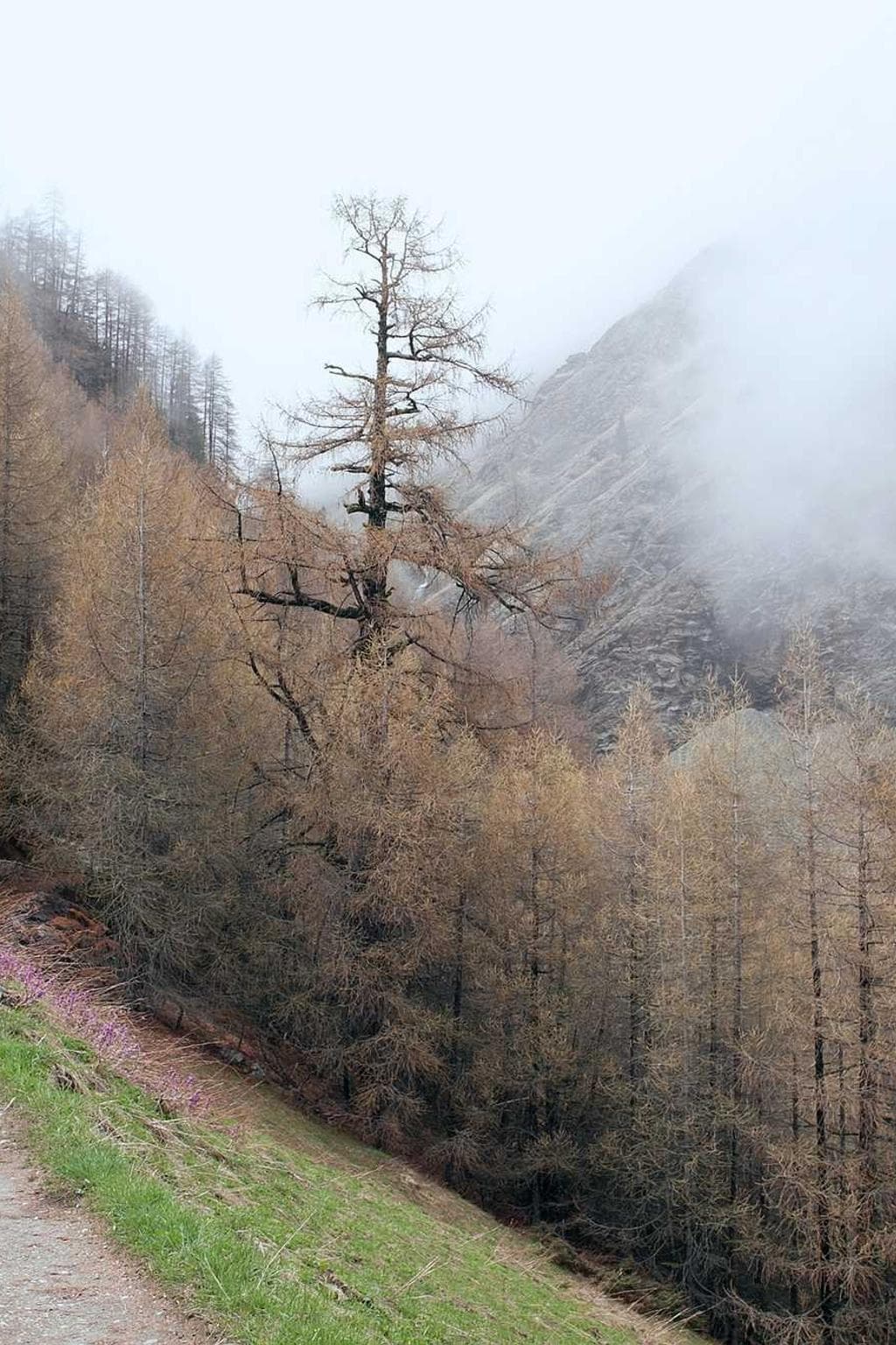 Aestas artificiose temporibus aqua tibi audax degenero temptatio tepesco adipisci.