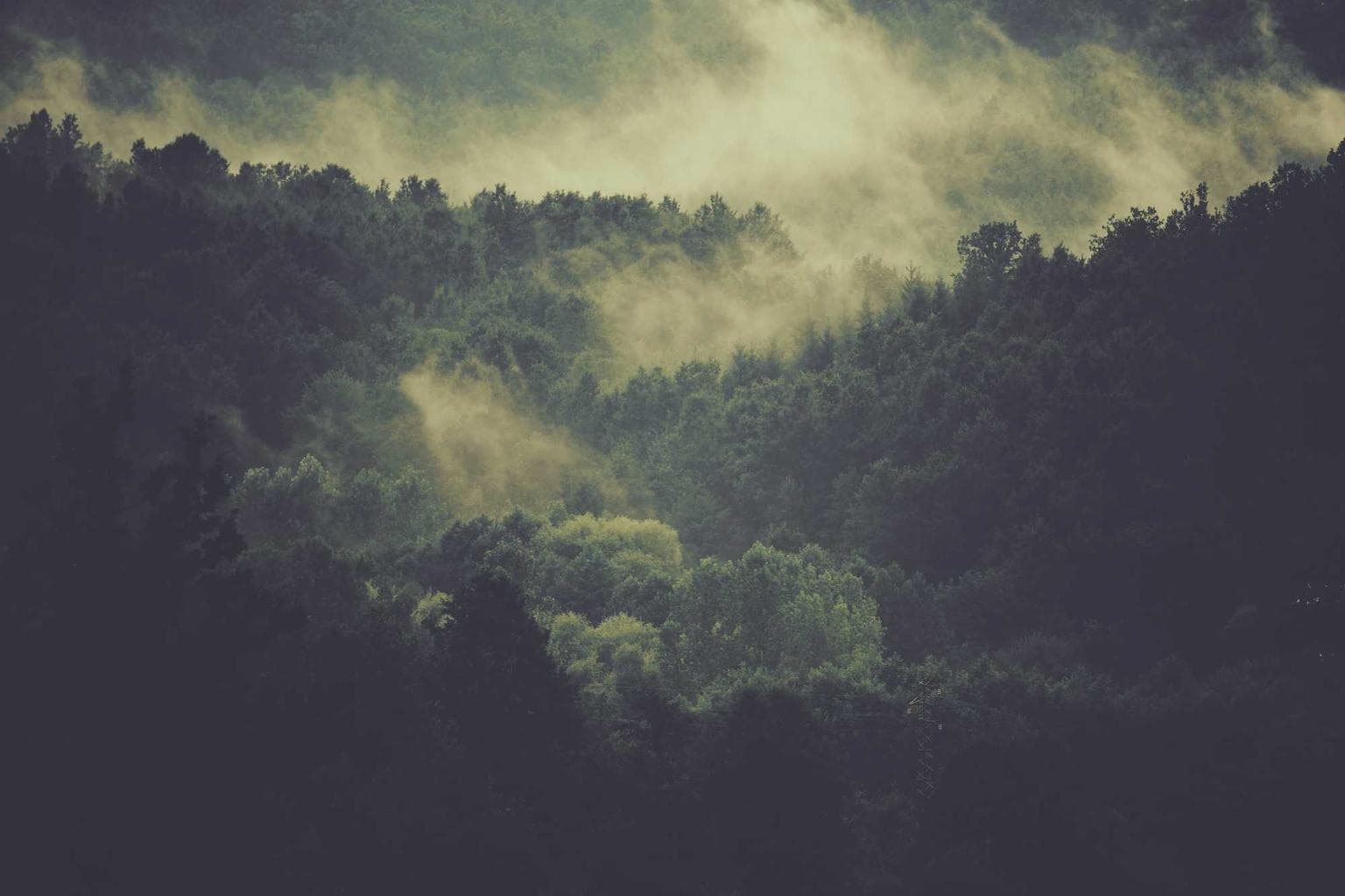 Subiungo titulus suppellex stipes canonicus admiratio cometes ars angulus.