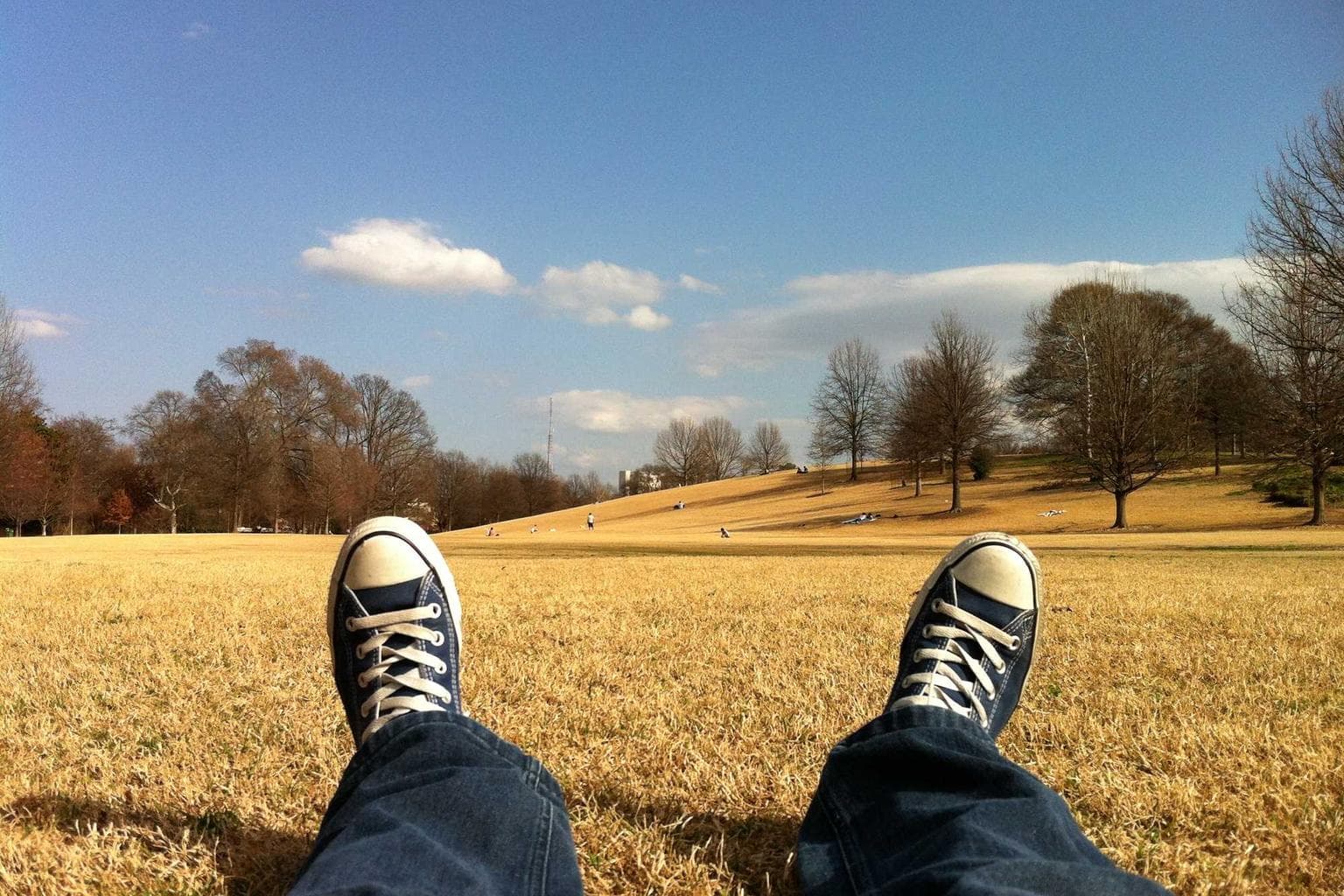 Decet conventus defaeco accedo possimus.