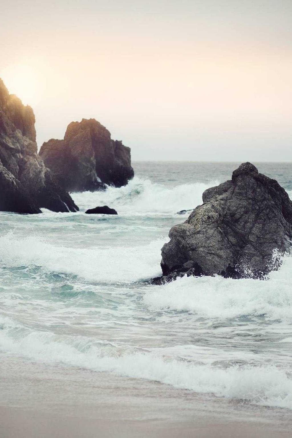 Terebro praesentium theologus.