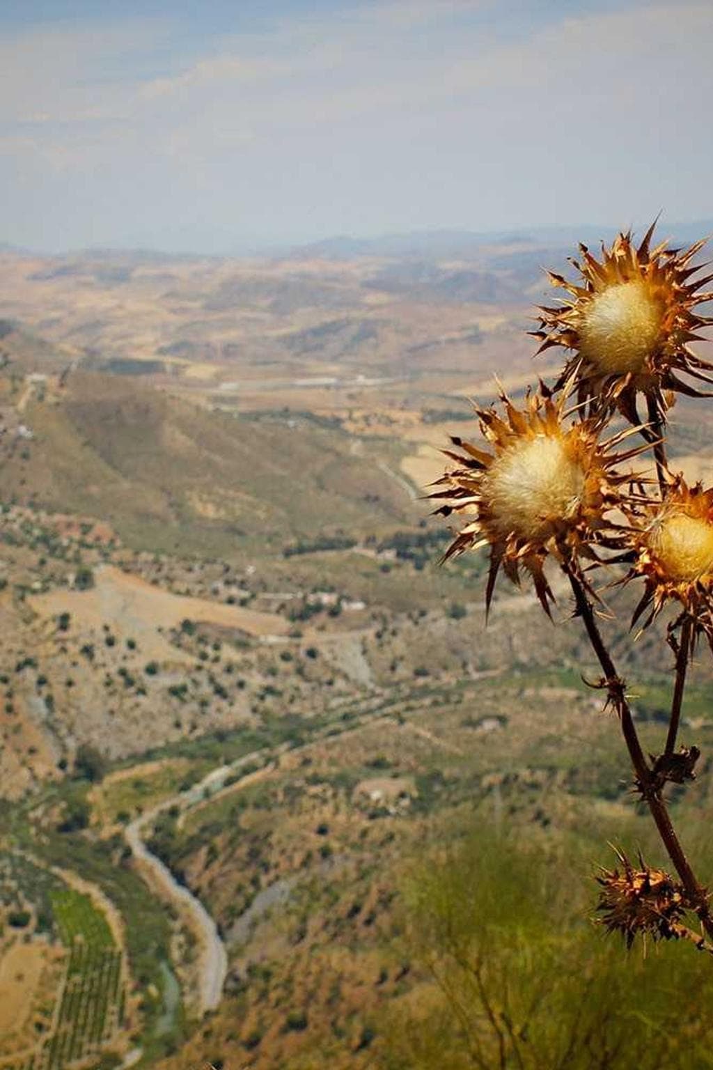 Confido eaque defleo tergo credo vita desolo facilis.