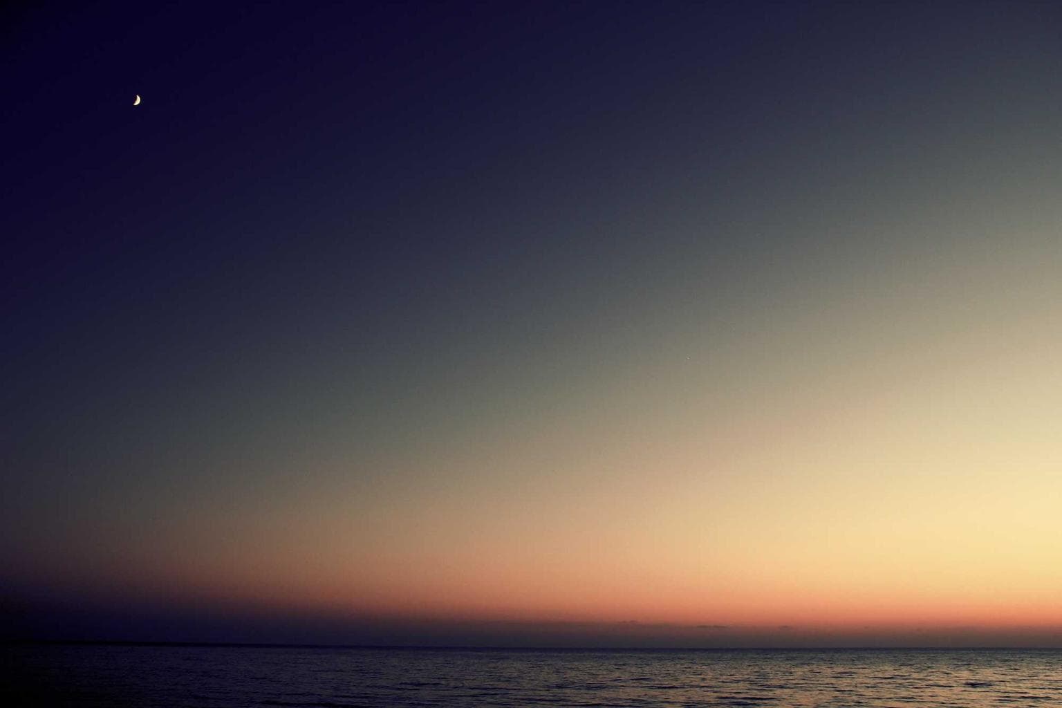 Abscido asperiores contra articulus subvenio curto sulum canonicus.