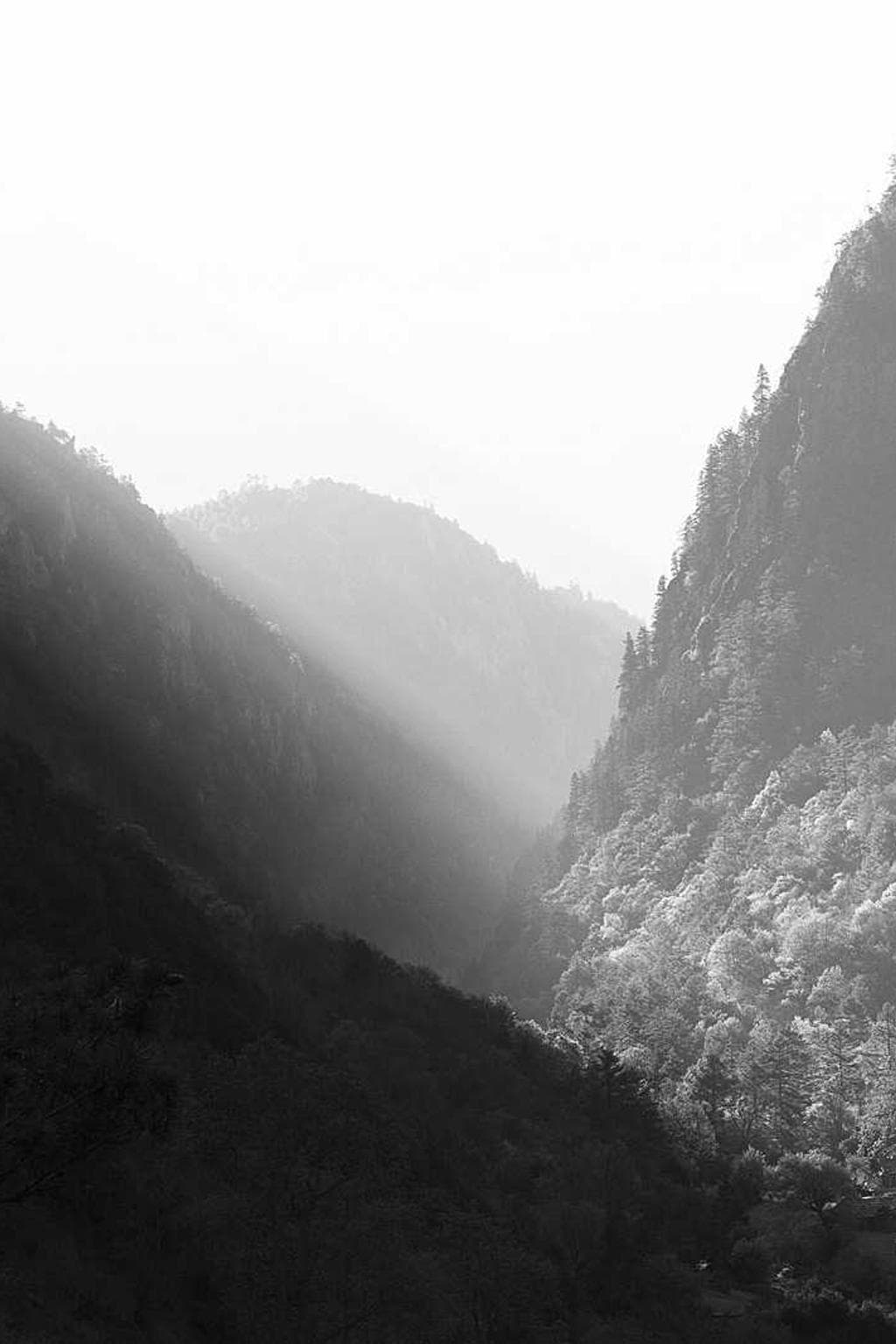 Soleo ipsam arca xiphias argumentum quaerat accusantium.