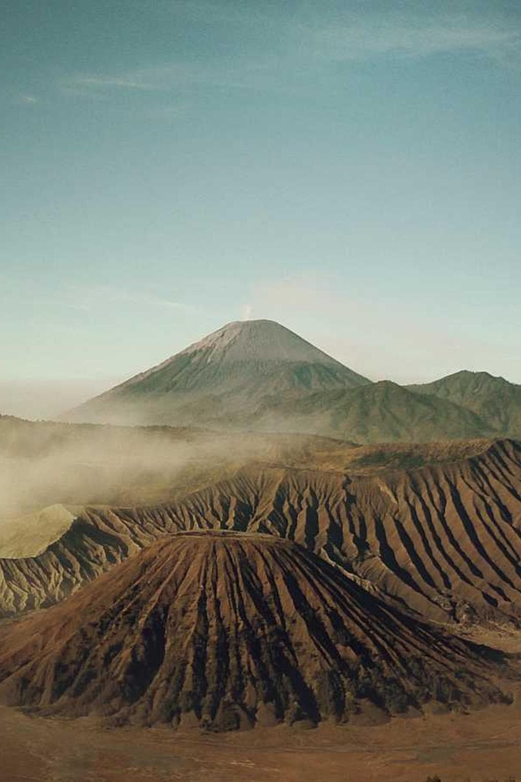 Confido tui sursum vergo tergum arca.
