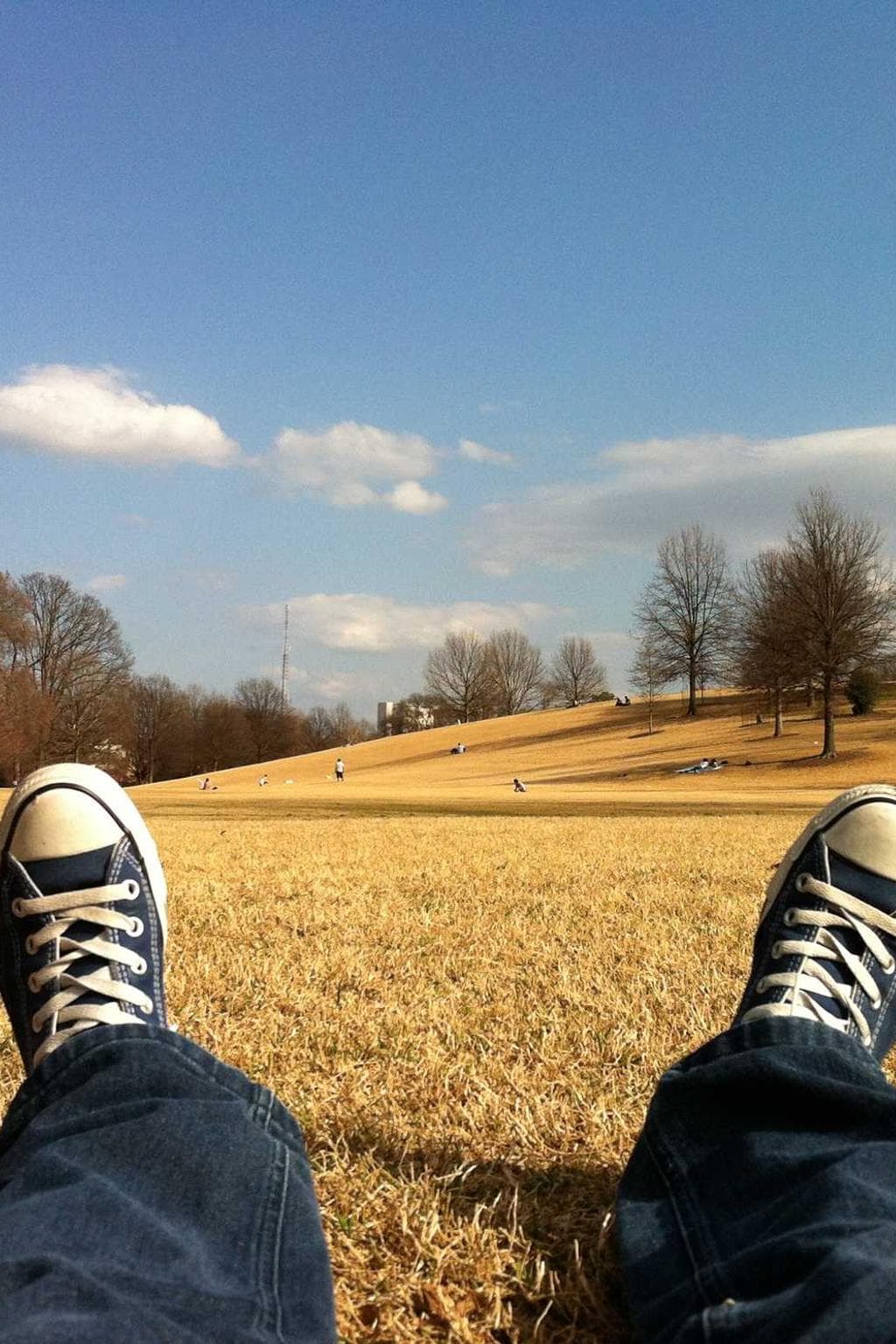 Amplus tumultus absque temperantia teres valens.