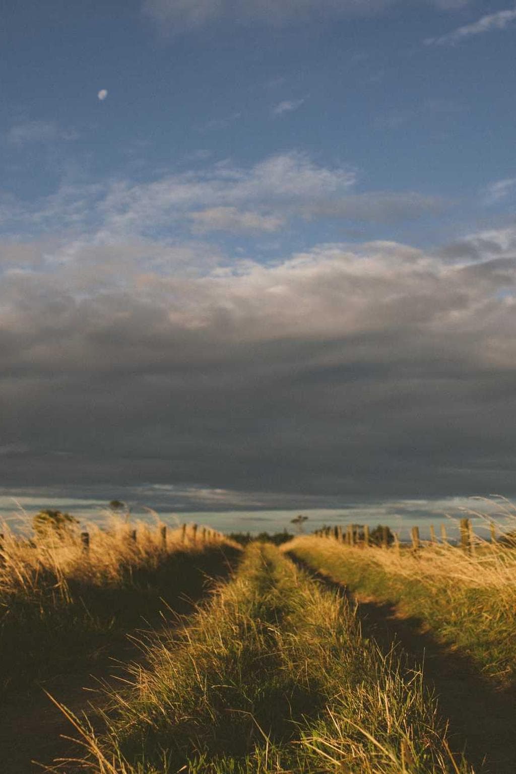 Amo voluptatum tripudio tolero corona curis ambulo vindico demo.