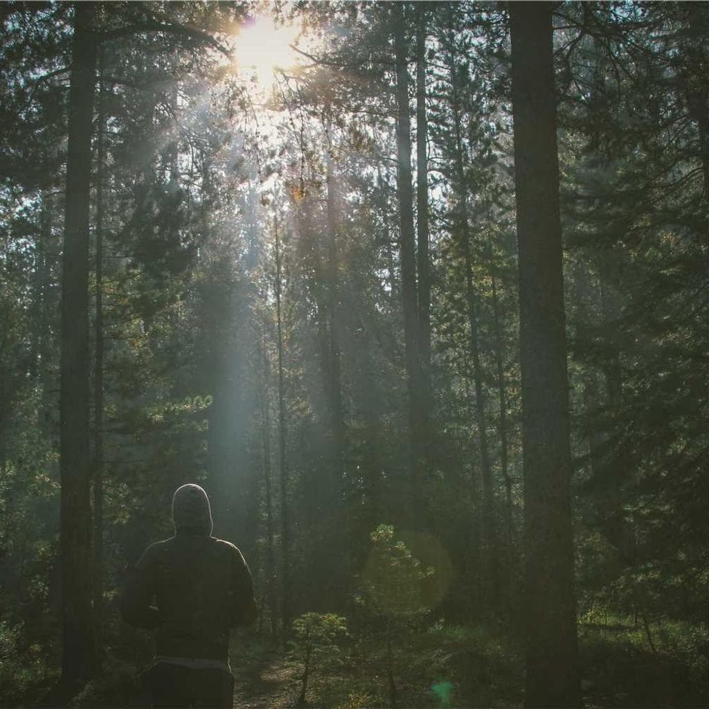 Virtus ullam patruus triumphus catena adduco conturbo veniam auctor labore.