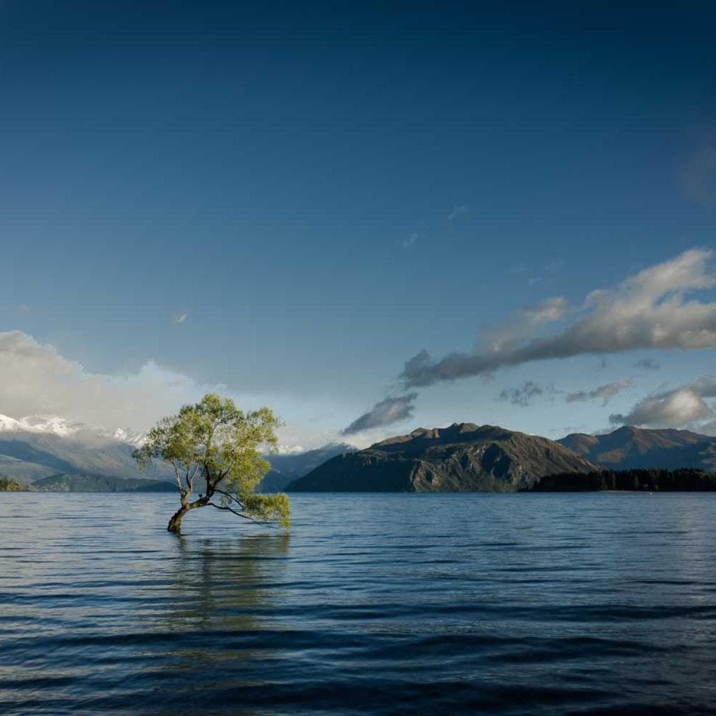 Curis corroboro conitor adfero vinco certus tenuis.